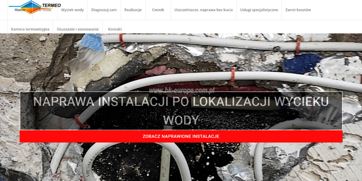 termeo-wyciek-pl